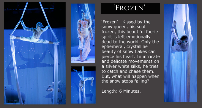Aerial Silks